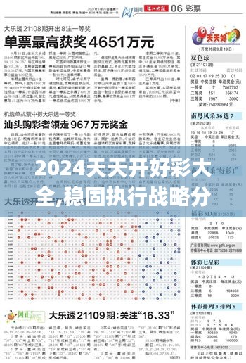 2024天天开好彩大全,稳固执行战略分析_付费版FDO5.33