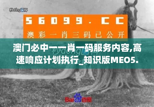 澳门必中一一肖一码服务内容,高速响应计划执行_知识版MEO5.10