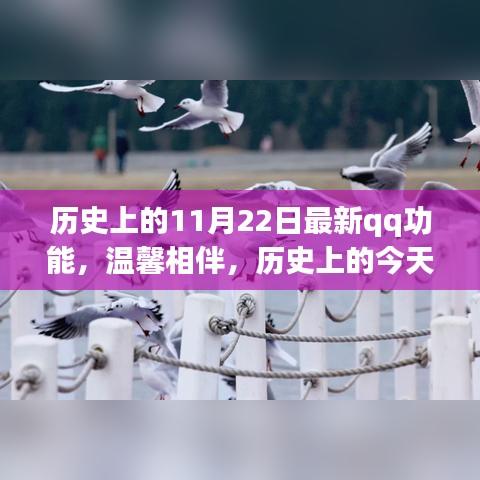 历史上的11月22日最新qq功能，温馨相伴，历史上的今天与最新QQ功能共舞——我的快乐回忆