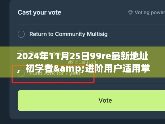 初学者与进阶用户必备，2024年11月25日99re最新地址访问全攻略及最新资讯掌握