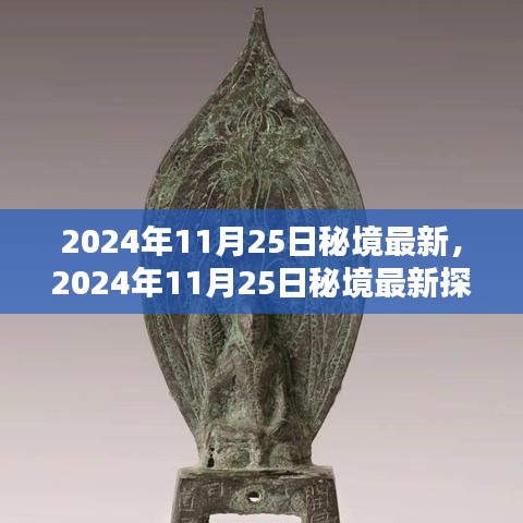 2024年11月25日秘境最新探索，观点阐述与解析