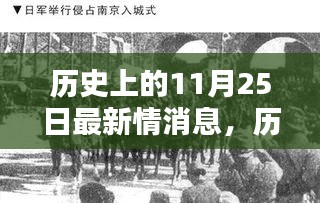 揭秘历史上的11月25日，多维度观点碰撞与最新情报消息速递