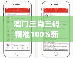 澳门三肖三码精准100%新华字典331期,实证分析细明数据_广播版PAV11.32