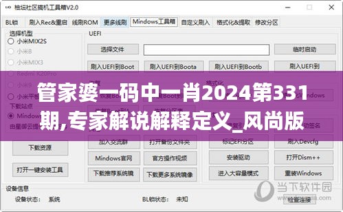 管家婆一码中一肖2024第331期,专家解说解释定义_风尚版HKC11.20