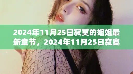 2024年11月25日寂寞姐姐系列新篇章深度测评与介绍