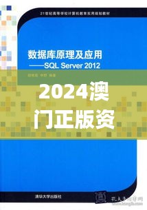 2024澳门正版资料免费大全330期,数据评估设计_计算机版RIW11.25