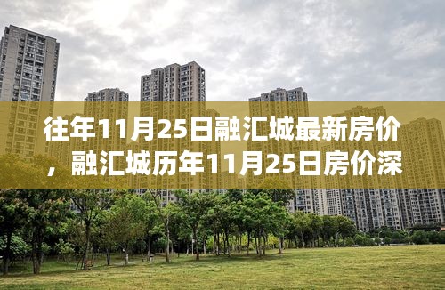 融汇城历年11月25日房价深度解析，特性、体验、竞品对比及用户洞察报告揭秘最新房价动态与用户洞察结果。