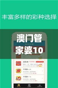 澳门管家婆100%精准329期,实地验证研究方案_趣味版VXW11.28