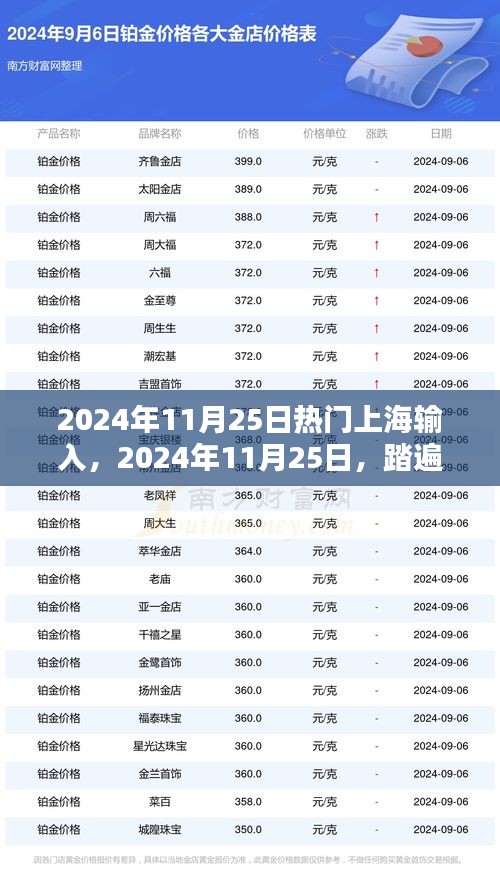 踏遍上海美景，探寻内心桃花源——2024年11月25日热门上海游