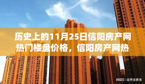 揭秘，历史上的信阳房产网热门楼盘价格变迁与背后的故事（11月25日回顾）