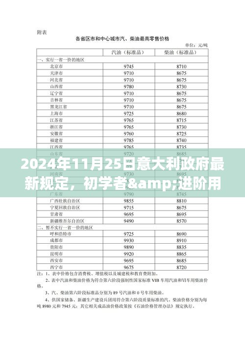 意大利政府最新规定详解指南，初学者与进阶用户适用的实施步骤指南（2024年11月25日）