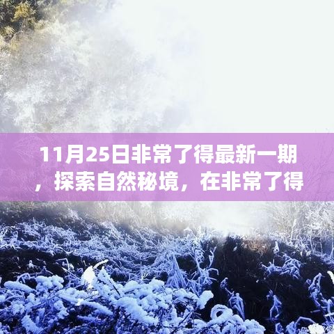 探索自然秘境，非常了得之旅寻找内心的宁静与平和（最新一期报道）