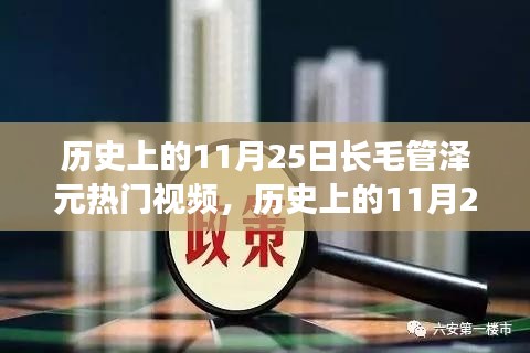 长毛管泽元热门视频背后的历史争议与观点深度解析