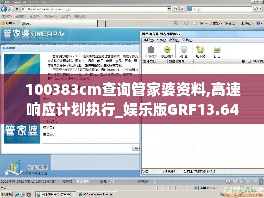 100383cm查询管家婆资料,高速响应计划执行_娱乐版GRF13.64