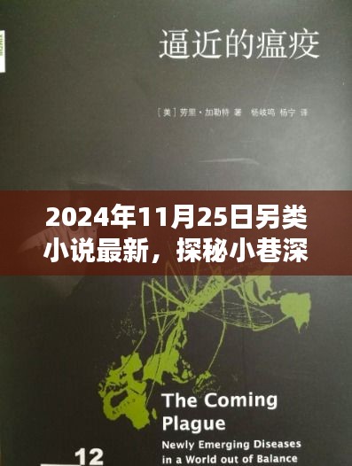 探秘小巷深处的另类文学秘境，最新另类小说分享（2024年11月25日）