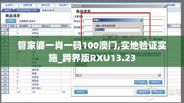 管家婆一肖一码100澳门,实地验证实施_跨界版RXU13.23