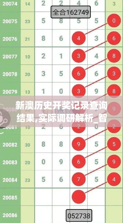 新澳历史开奖记录查询结果,实际调研解析_智慧版YZS13.87