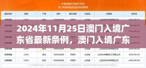 澳门入境广东省最新条例解读，时代变迁下的新篇章（2024年最新版）