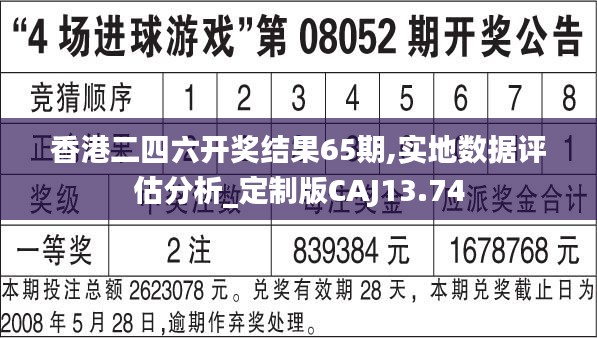 香港二四六开奖结果65期,实地数据评估分析_定制版CAJ13.74