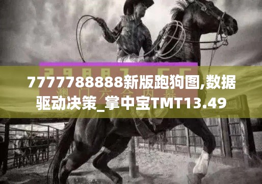 7777788888新版跑狗图,数据驱动决策_掌中宝TMT13.49