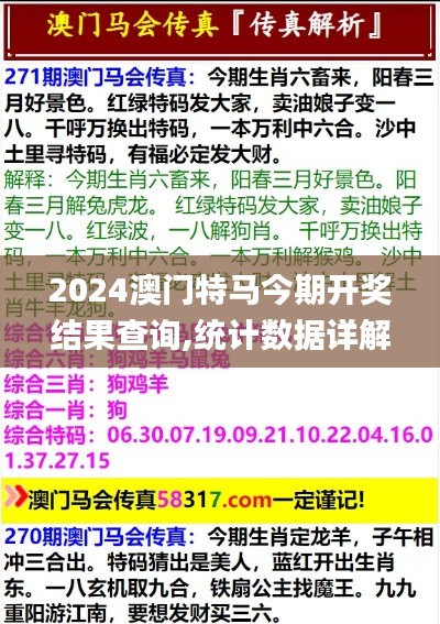 2024澳门特马今期开奖结果查询,统计数据详解说明_奢华版GPZ13.43