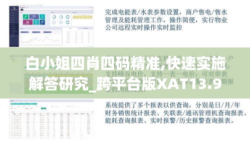 白小姐四肖四码精准,快速实施解答研究_跨平台版XAT13.96