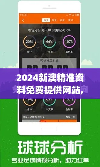 2024新澳精准资料免费提供网站,稳固计划实施_并行版MLO13.50