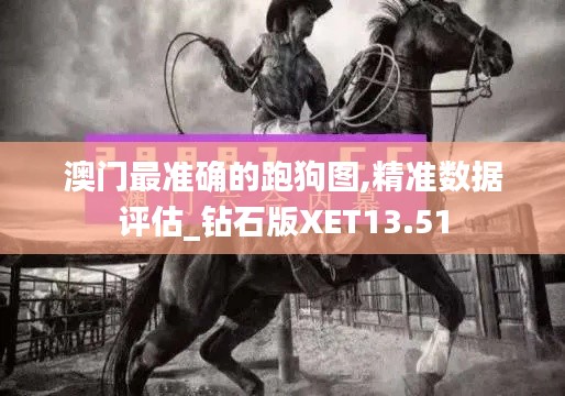 澳门最准确的跑狗图,精准数据评估_钻石版XET13.51