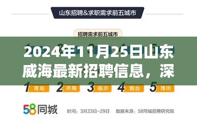 2024年11月25日山东威海最新招聘信息全方位解析与评测