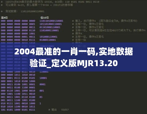 2004最准的一肖一码,实地数据验证_定义版MJR13.20