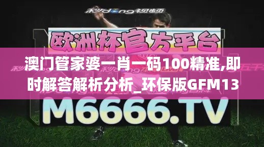 澳门管家婆一肖一码100精准,即时解答解析分析_环保版GFM13.69