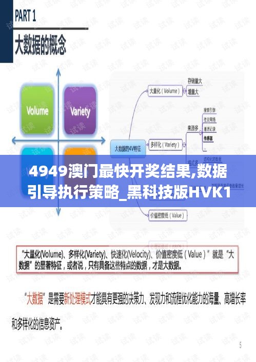 4949澳门最快开奖结果,数据引导执行策略_黑科技版HVK13.65