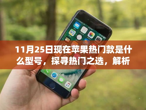 探寻当下热门之选，解析iPhone型号演变与现状，最新热门款苹果iPhone揭秘（针对当前日期）