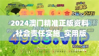 2024澳门精准正版资料,社会责任实施_实用版GRR13.69