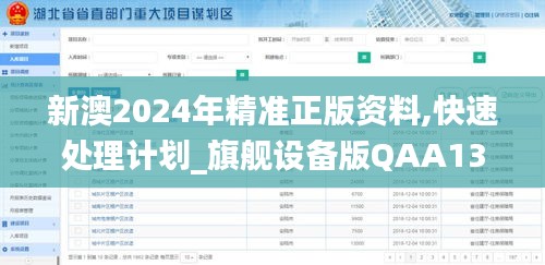 新澳2024年精准正版资料,快速处理计划_旗舰设备版QAA13.24