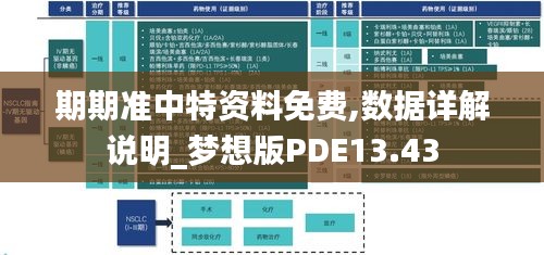 期期准中特资料免费,数据详解说明_梦想版PDE13.43