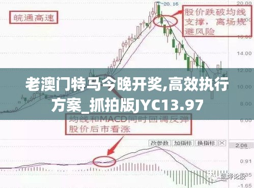 老澳门特马今晚开奖,高效执行方案_抓拍版JYC13.97