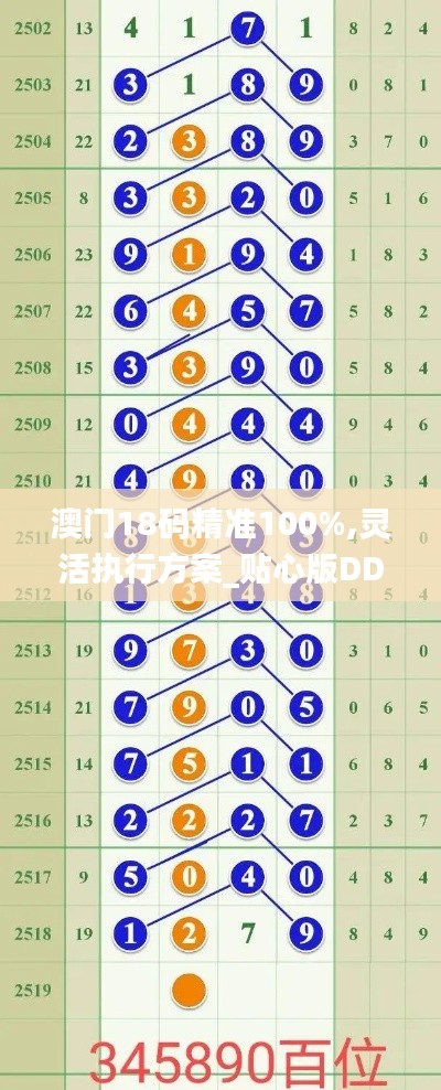 澳门18码精准100%,灵活执行方案_贴心版DDW13.40