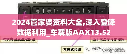 2024管家婆资料大全,深入登降数据利用_车载版AAX13.52