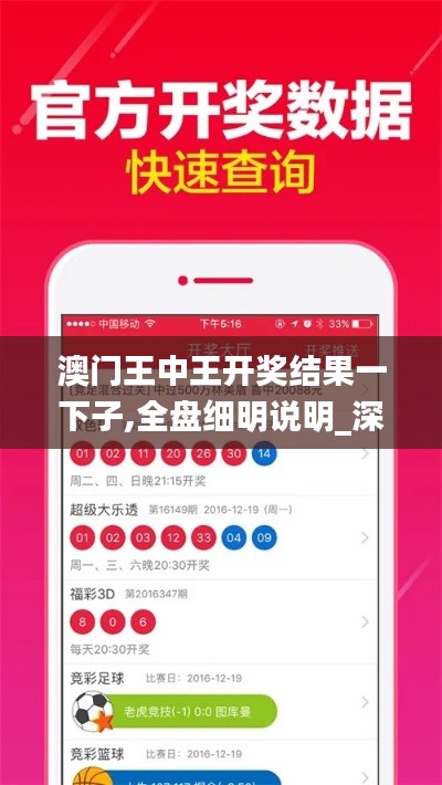 澳门王中王开奖结果一下子,全盘细明说明_深度版DVZ13.54