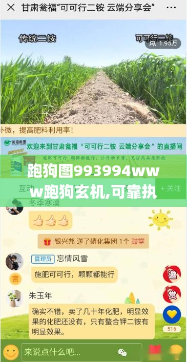 跑狗图993994www跑狗玄机,可靠执行操作方式_云端共享版RLW13.16