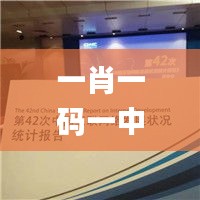 一肖一码一中一特,统计数据详解说明_领航版CQA13.88