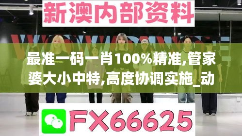 最准一码一肖100%精准,管家婆大小中特,高度协调实施_动态版ZLD13.16