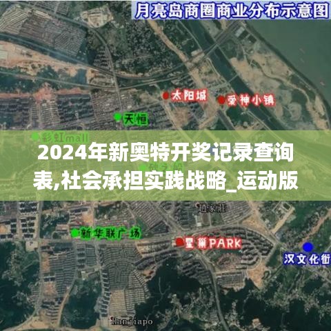 2024年新奥特开奖记录查询表,社会承担实践战略_运动版PTE13.29