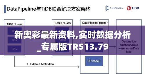 新奥彩最新资料,实时数据分析_专属版TRS13.79