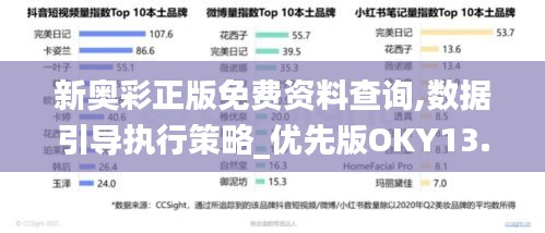 新奥彩正版免费资料查询,数据引导执行策略_优先版OKY13.42