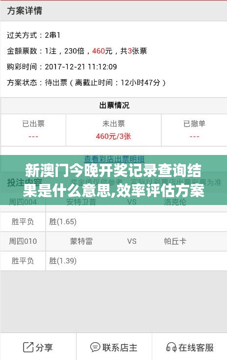 新澳门今晚开奖记录查询结果是什么意思,效率评估方案_无限版VGV13.5