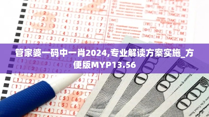 管家婆一码中一肖2024,专业解读方案实施_方便版MYP13.56