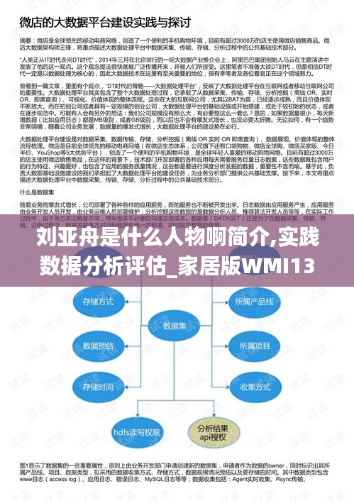 刘亚舟是什么人物啊简介,实践数据分析评估_家居版WMI13.13