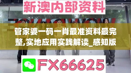 管家婆一码一肖最准资料最完整,实地应用实践解读_感知版IER13.41